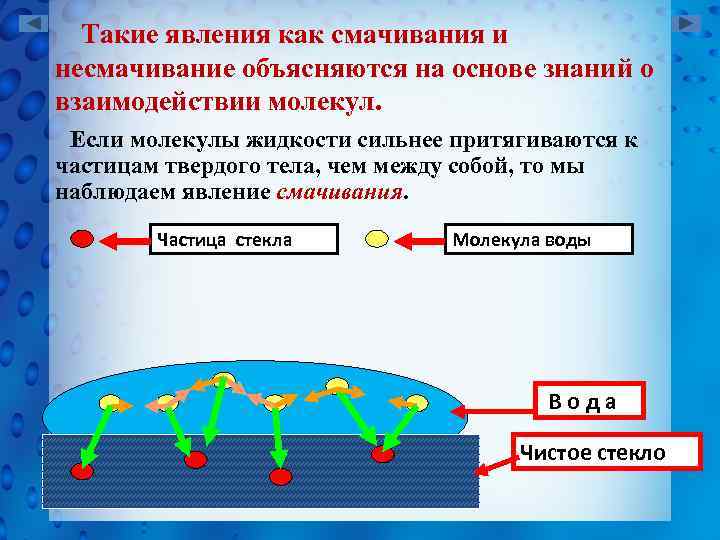 Смачивание и несмачивание физика 10 класс презентация