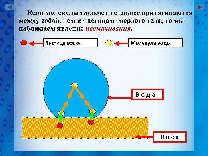 Если молекулы жидкости сильнее притягиваются между собой, чем к частицам твердого тела, то мы