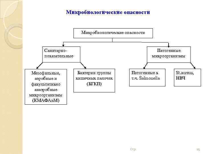 Микробиологические опасности Санитарнопоказательные Мезофильные, аэробные и факультативно анаэробные микроорганизмы (КМАФАн. М) Патогенные микроорганизмы Бактерии