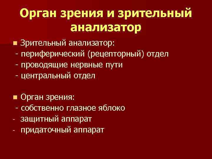 Орган зрения и зрительный анализатор Зрительный анализатор: - периферический (рецепторный) отдел - проводящие нервные