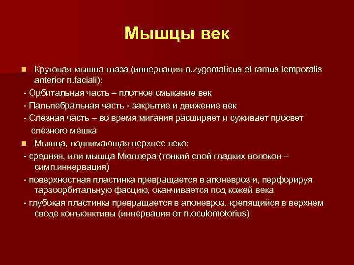 Мышцы век Круговая мышца глаза (иннервация n. zygomaticus et ramus temporalis anterior n. faciali):