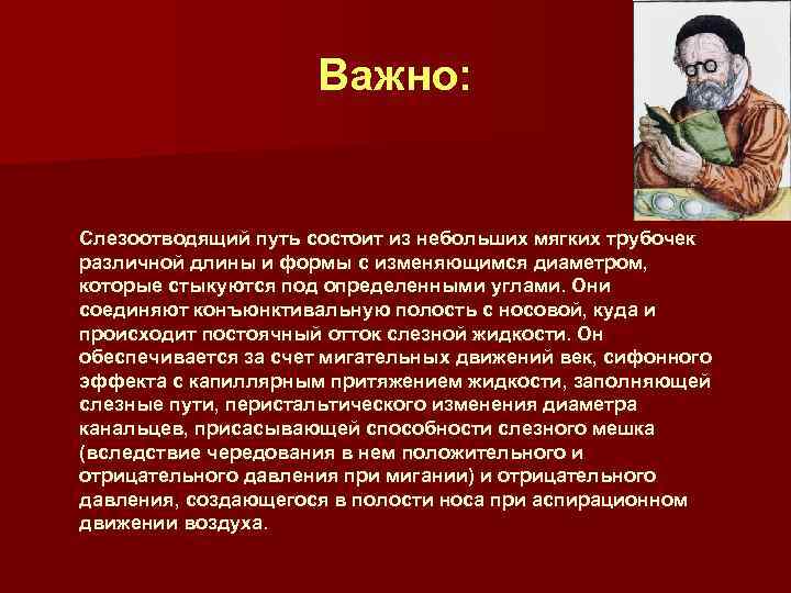 Важно: Слезоотводящий путь состоит из небольших мягких трубочек различной длины и формы с изменяющимся