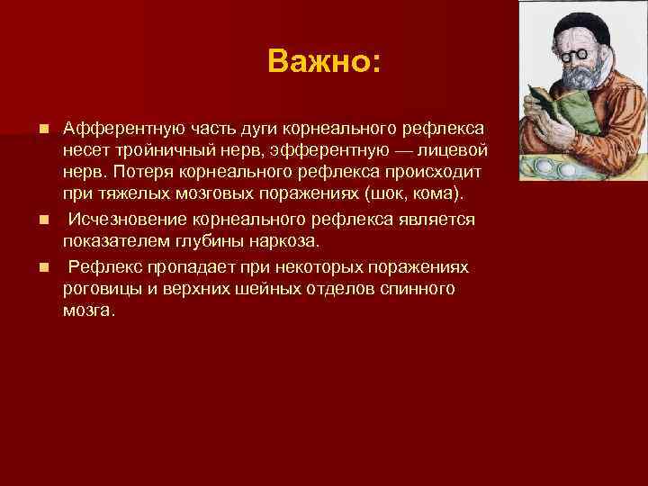 Важно: Афферентную часть дуги корнеального рефлекса несет тройничный нерв, эфферентную — лицевой нерв. Потеря