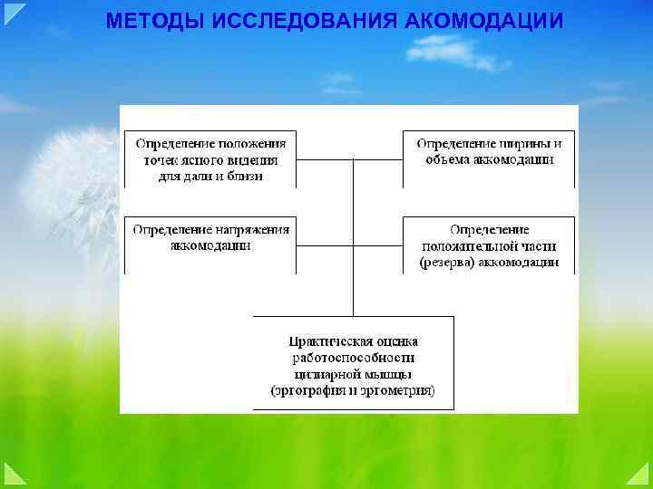 МЕТОДЫ ИССЛЕДОВАНИЯ АКОМОДАЦИИ 