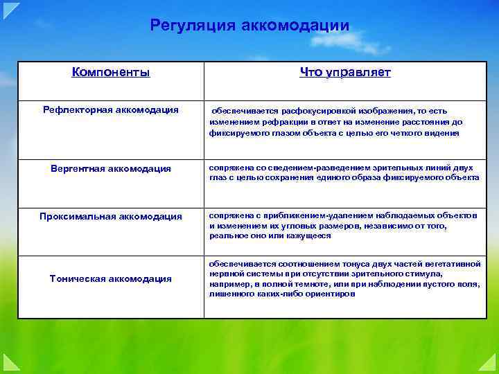 Регуляция аккомодации Компоненты Рефлекторная аккомодация Что управляет обеспечивается расфокусировкой изображения, то есть изменением рефракции