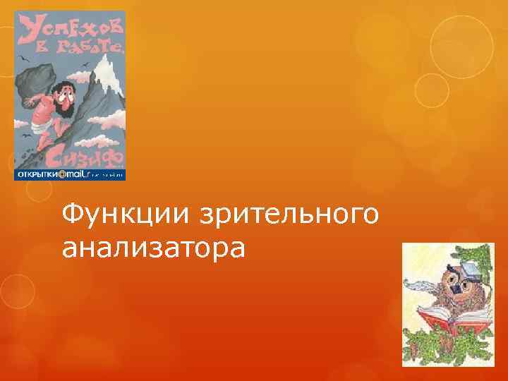 Функции зрительного анализатора 