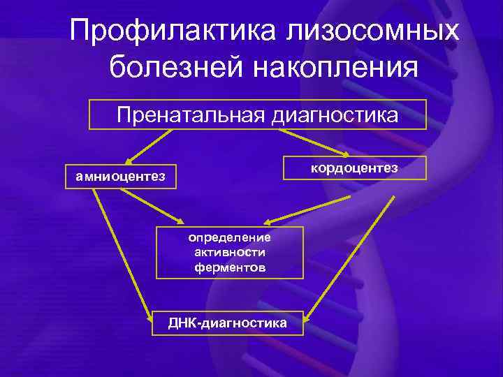 Профилактика лизосомных болезней накопления Пренатальная диагностика кордоцентез амниоцентез определение активности ферментов ДНК-диагностика 