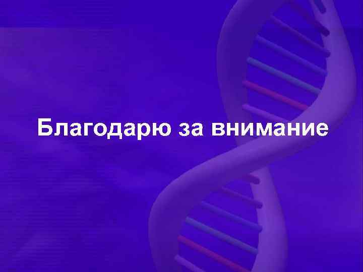 Благодарю за внимание 