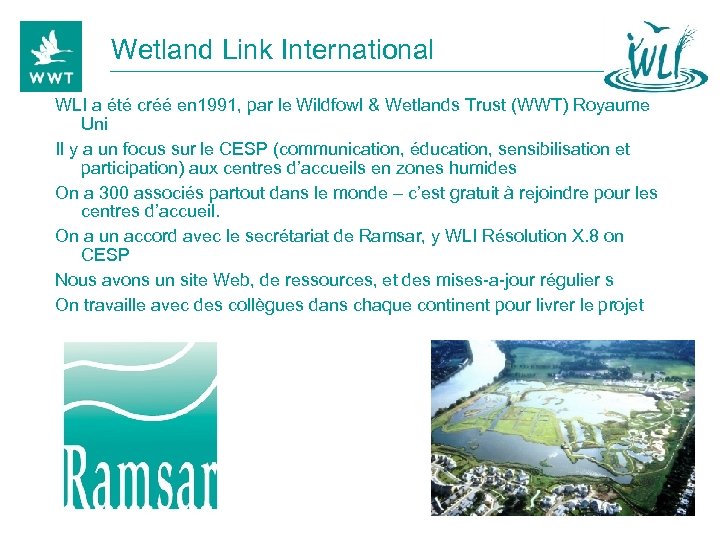 Wetland Link International WLI a été créé en 1991, par le Wildfowl & Wetlands