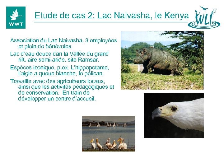 Etude de cas 2: Lac Naivasha, le Kenya Association du Lac Naivasha, 3 employées