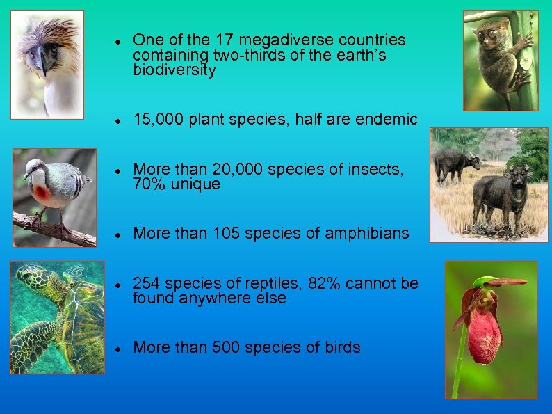  One of the 17 megadiverse countries containing two-thirds of the earth’s biodiversity 15,