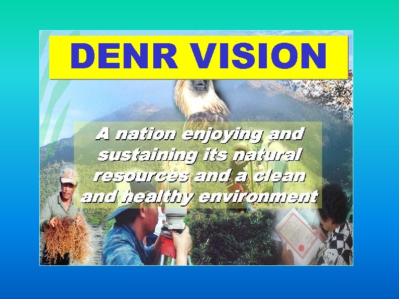 DENR VISION 