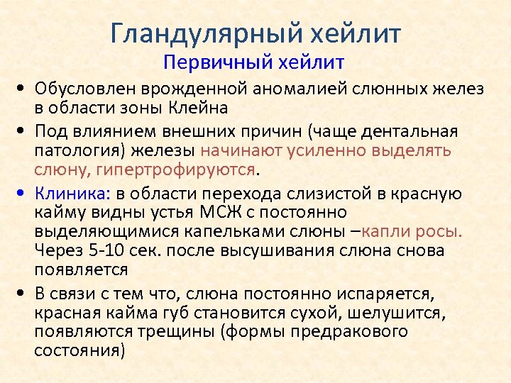 Гландулярный хейлит Первичный хейлит • Обусловлен врожденной аномалией слюнных желез в области зоны Клейна
