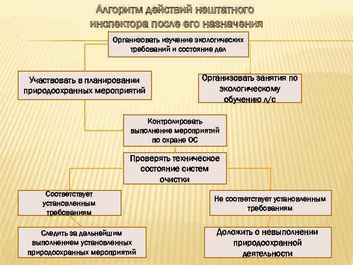 Алгоритм действий нештатного инспектора после его назначения Организовать изучение экологических требований и состояние дел