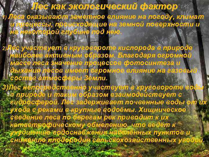 Лес как экологический фактор 1) Леса оказывают заметное влияние на погоду, климат и процессы,