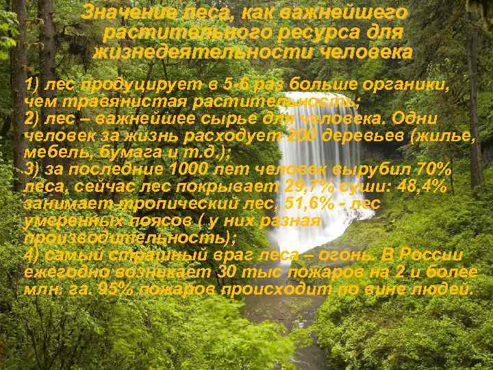 Значение леса, как важнейшего растительного ресурса для жизнедеятельности человека 1) лес продуцирует в 5