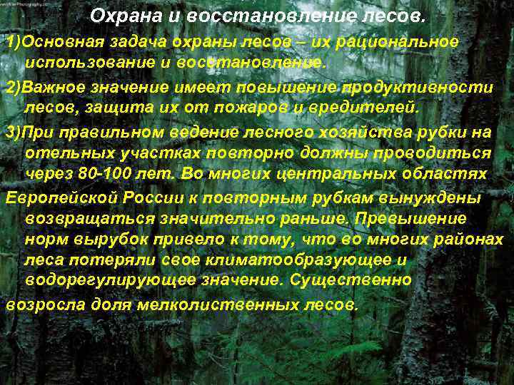 Охрана и восстановление лесов. 1)Основная задача охраны лесов – их рациональное использование и восстановление.