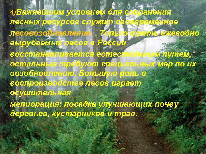 4)Важнейшим условием для сохранения лесных ресурсов служит своевременное лесовозобновление. Только треть ежегодно вырубаемых лесов