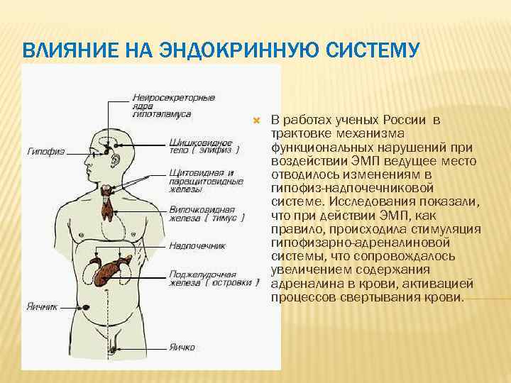 ВЛИЯНИЕ НА ЭНДОКРИННУЮ СИСТЕМУ В работах ученых России в трактовке механизма функциональных нарушений при