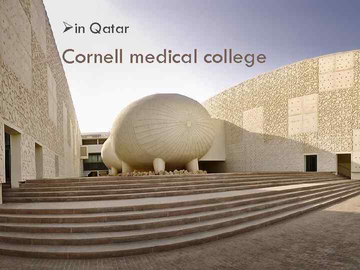 Øin Qatar Cornell medical college 