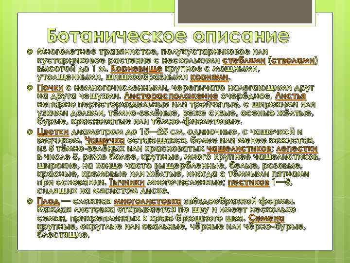 Ботаническое описание Многолетнее травянистое, полукустарниковое или кустарниковое растение с несколькими стеблями (стволами) высотой до