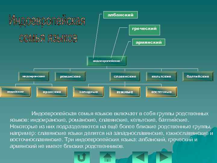 албанский греческий армянский индоевропейские индоиранские индийские романские иранские западные славянские кельтские южные балтийские восточные