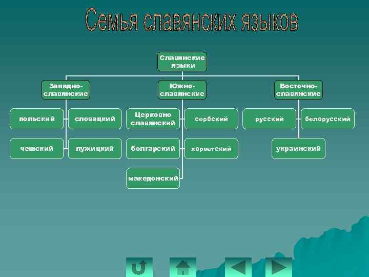 Славянские языки Западнославянские Южнославянские польский словацкий Церковно славянский сербский чешский лужицкий болгарский хорватский македонский