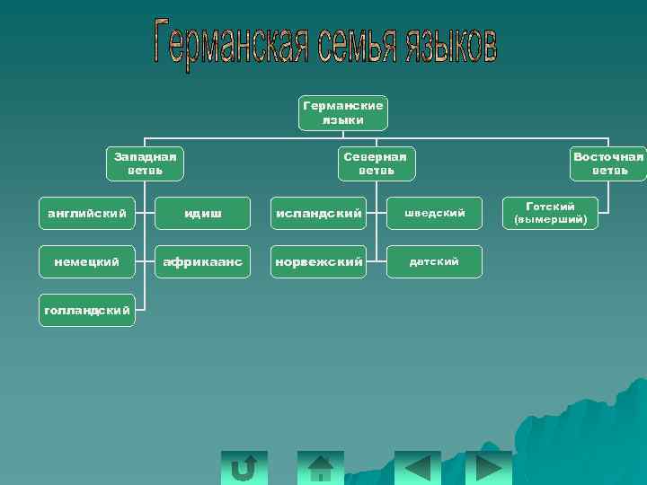 Германские языки Западная ветвь Северная ветвь Восточная ветвь английский идиш исландский шведский немецкий африкаанс