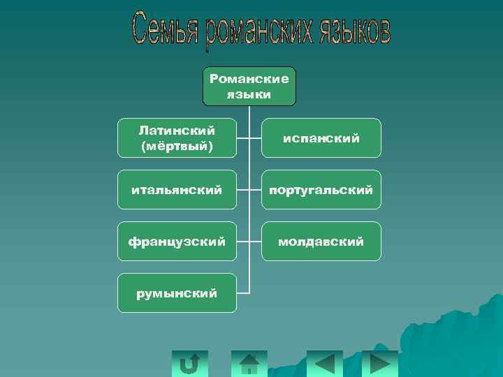 Романские языки Латинский (мёртвый) испанский итальянский португальский французский молдавский румынский 