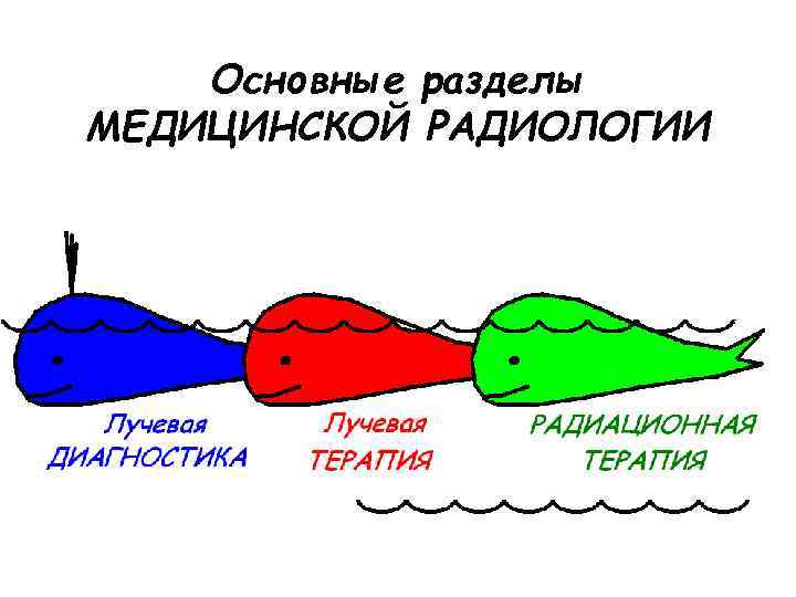 Основные разделы МЕДИЦИНСКОЙ РАДИОЛОГИИ 
