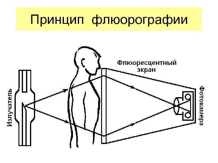 Принципы получения изображения