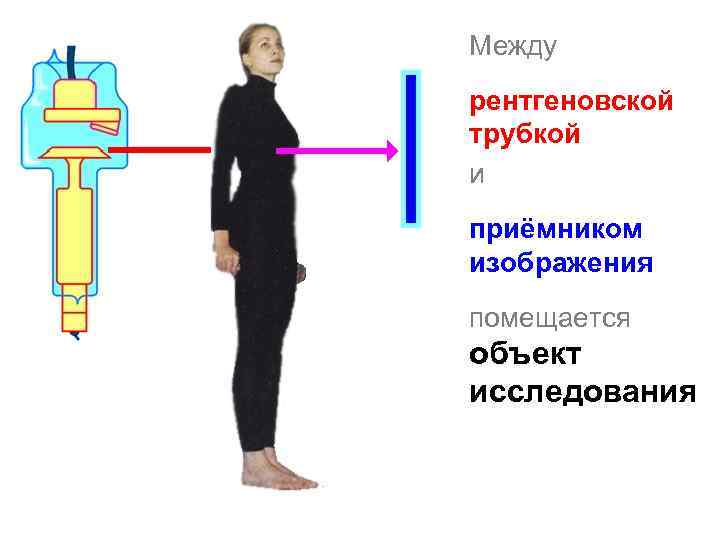 Между рентгеновской трубкой и приёмником изображения помещается объект исследования 