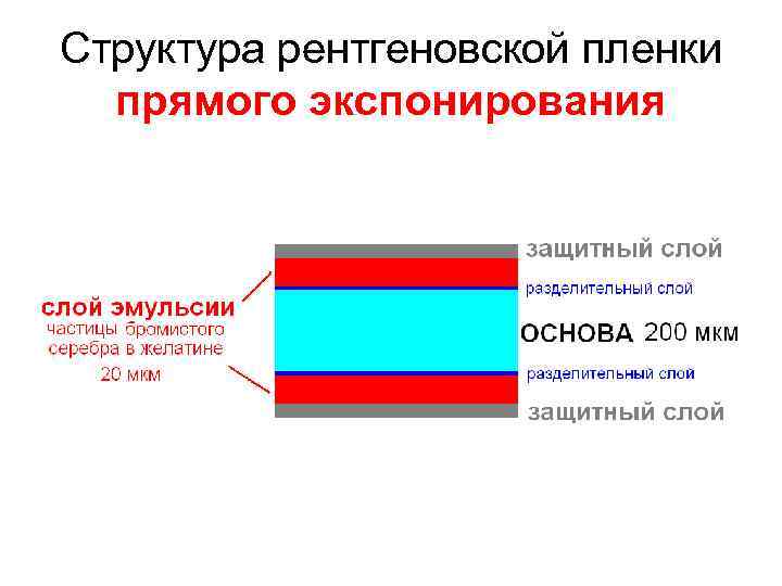 Структура рентгеновской пленки прямого экспонирования 