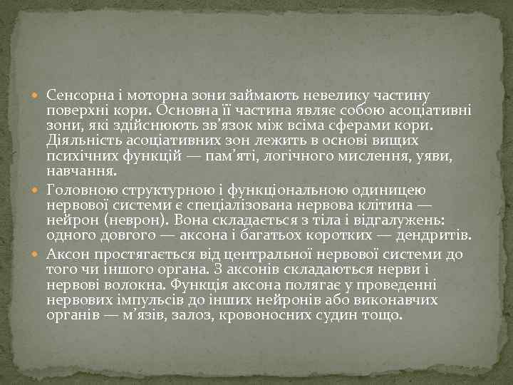  Сенсорна і моторна зони займають невелику частину поверхні кори. Основна її частина являє