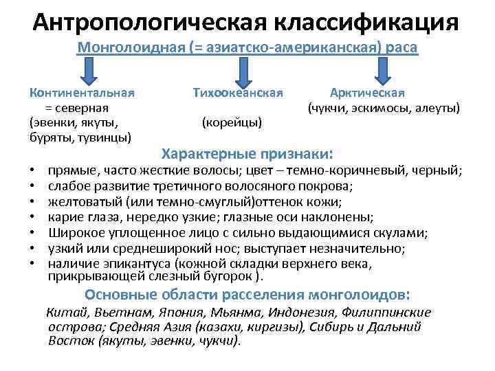 Антропологическая классификация Монголоидная (= азиатско-американская) раса Континентальная = северная (эвенки, якуты, буряты, тувинцы) •