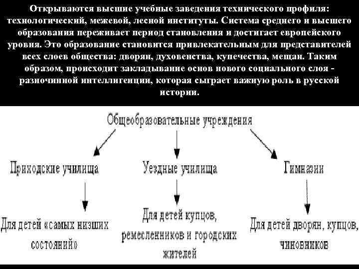 Открываются высшие учебные заведения технического профиля: технологический, межевой, лесной институты. Система среднего и высшего