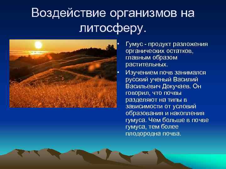 Воздействие организмов на литосферу. • Гумус - продукт разложения органических остатков, главным образом растительных.