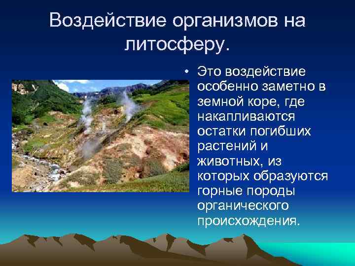 Тема литосфера и человек. Воздействие организмов на литосферу. Воздействие человека на литосферу. Влияние человека на литосферу. Воздействие организмов на земные кору.