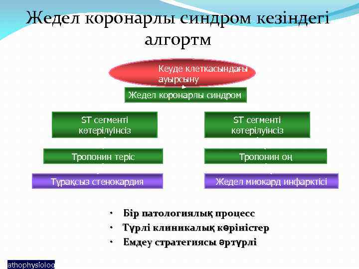 Жедел коронарлы синдром кезіндегі алгортм Кеуде клеткасындағы ауырсыну Жедел коронарлы синдром ST сегменті көтерілуінсіз