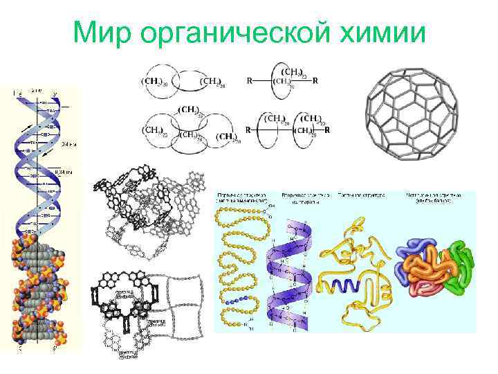 Мир органической химии 