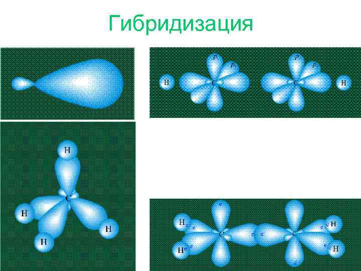 Гибридизация 