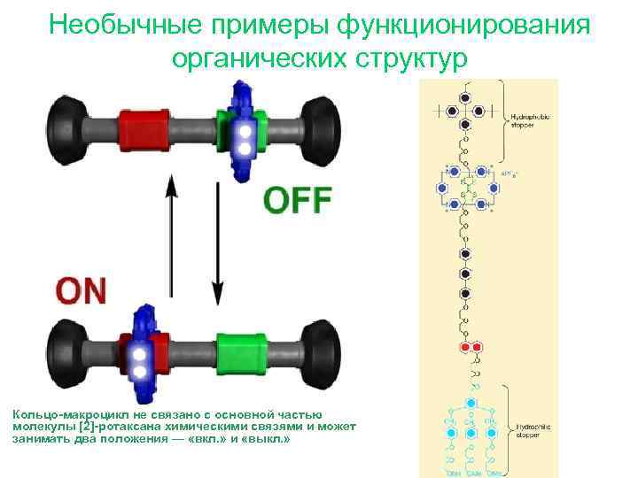 Необычные примеры функционирования органических структур Кольцо-макроцикл не связано с основной частью молекулы [2]-ротаксана химическими