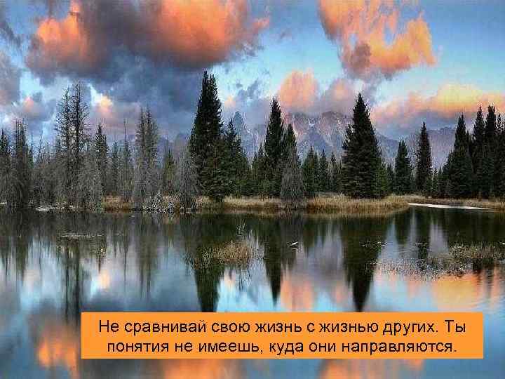 Не сравнивай свою жизнь с жизнью других. Ты понятия не имеешь, куда они направляются.