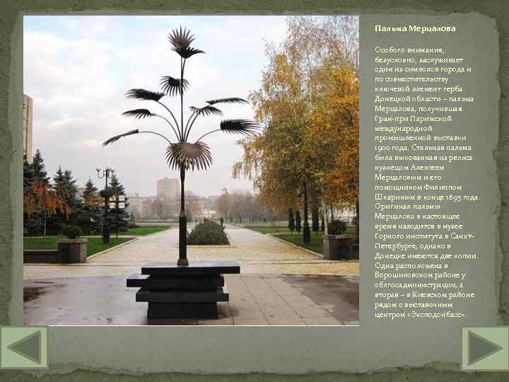 Пальма Мерцалова Особого внимания, безусловно, заслуживает один из символов города и по совместительству ключевой