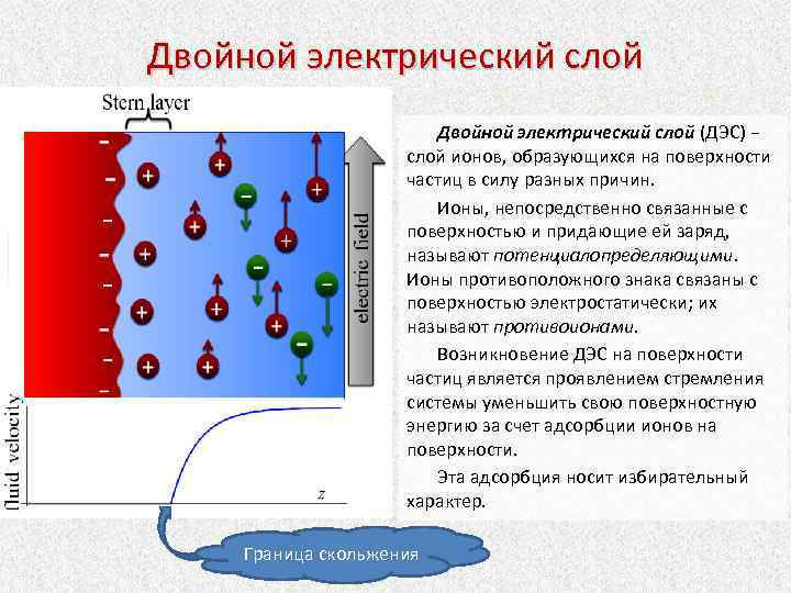 Двойной электрический слой