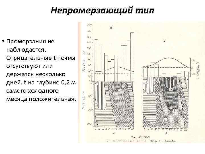 Непромерзающий тип • Промерзания не наблюдается. Отрицательные t почвы отсутствуют или держатся несколько дней.