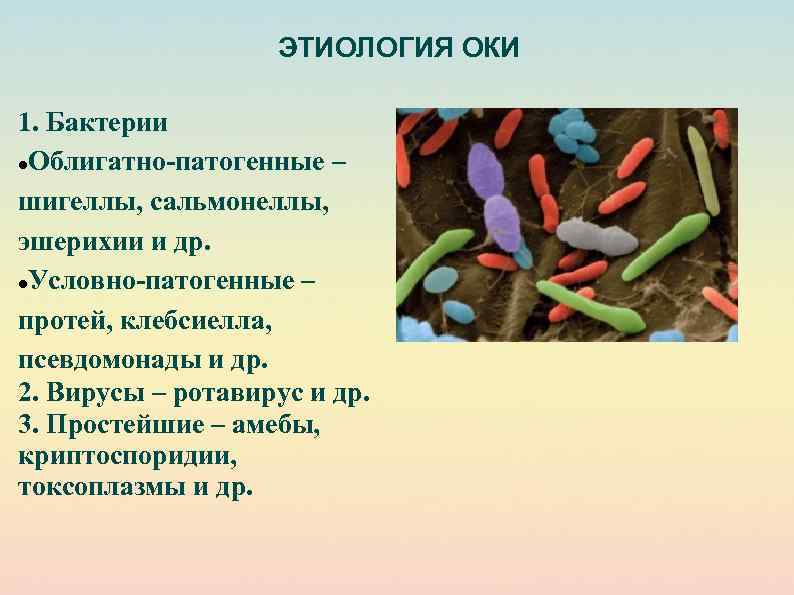 Эшерихии микробиология презентация