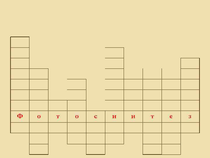 Ф о т о с и н т е з 