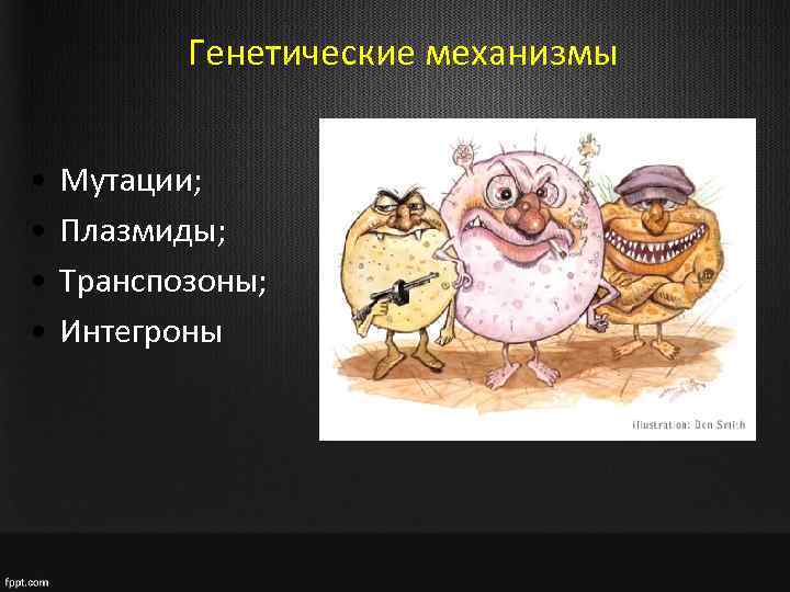 Генетические механизмы • • Мутации; Плазмиды; Транспозоны; Интегроны 