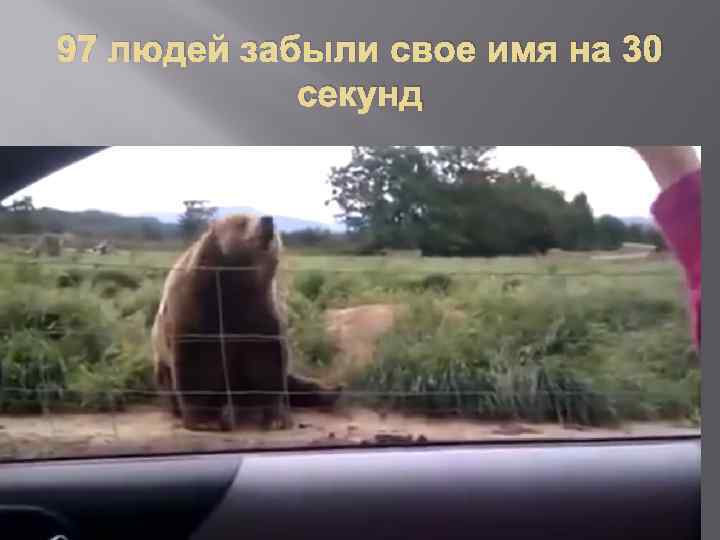 97 людей забыли свое имя на 30 секунд 